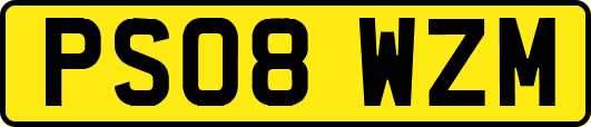 PS08WZM
