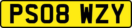 PS08WZY