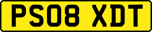 PS08XDT