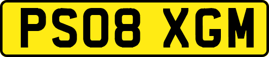PS08XGM