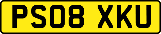 PS08XKU