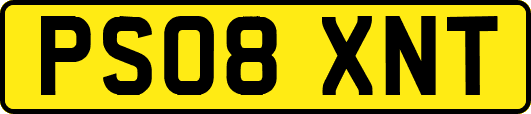 PS08XNT