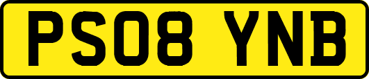 PS08YNB