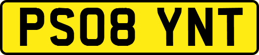 PS08YNT