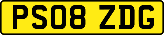 PS08ZDG