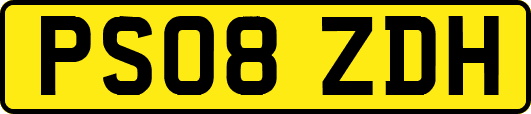 PS08ZDH