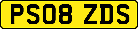 PS08ZDS