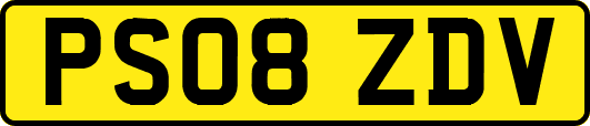 PS08ZDV
