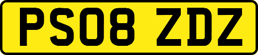 PS08ZDZ