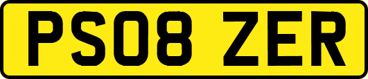 PS08ZER