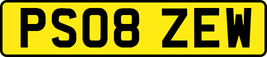 PS08ZEW