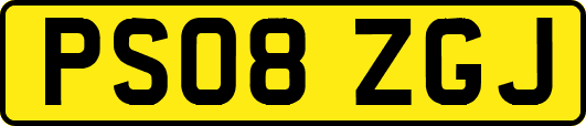 PS08ZGJ