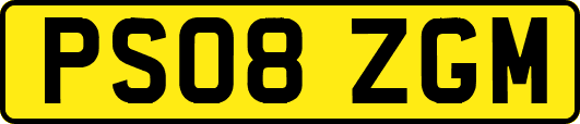PS08ZGM
