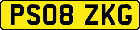 PS08ZKG