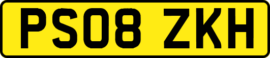 PS08ZKH