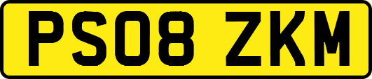 PS08ZKM