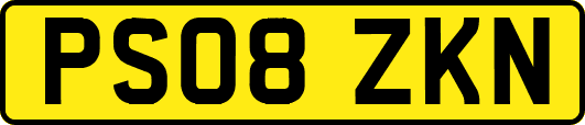 PS08ZKN