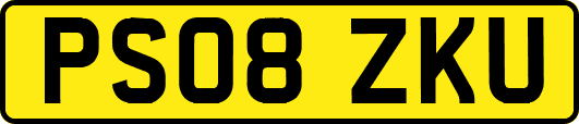 PS08ZKU