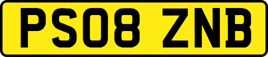 PS08ZNB