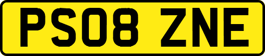 PS08ZNE