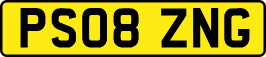 PS08ZNG