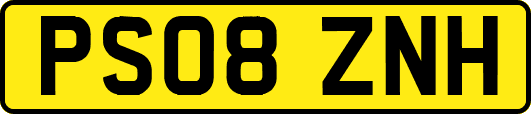 PS08ZNH