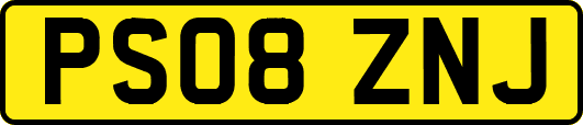 PS08ZNJ