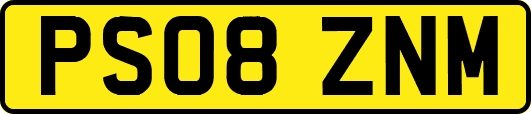 PS08ZNM