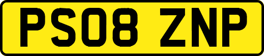 PS08ZNP