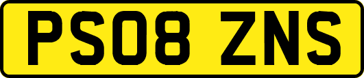 PS08ZNS