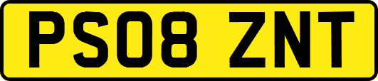 PS08ZNT