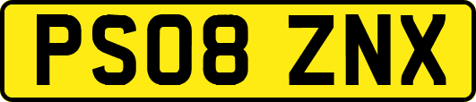 PS08ZNX