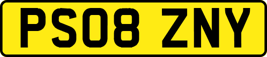 PS08ZNY