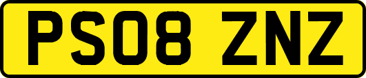 PS08ZNZ