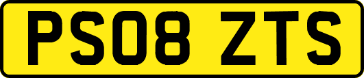 PS08ZTS