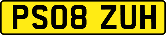 PS08ZUH