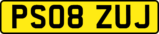 PS08ZUJ