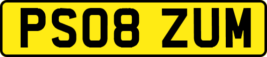 PS08ZUM