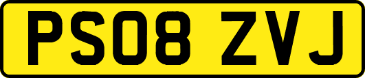 PS08ZVJ