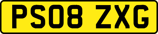 PS08ZXG