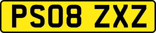 PS08ZXZ