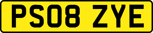 PS08ZYE