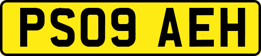 PS09AEH