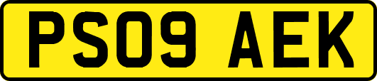 PS09AEK
