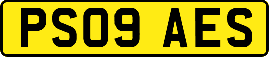 PS09AES