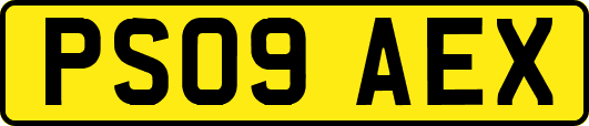 PS09AEX