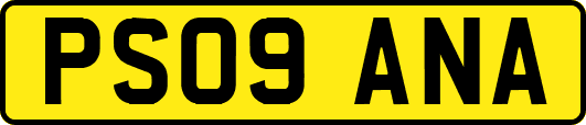 PS09ANA