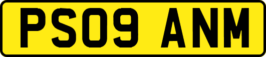 PS09ANM