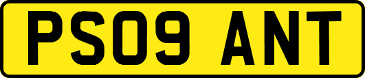PS09ANT