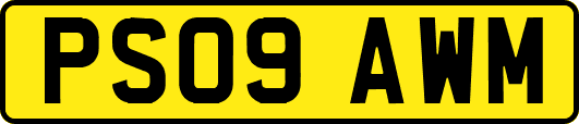 PS09AWM